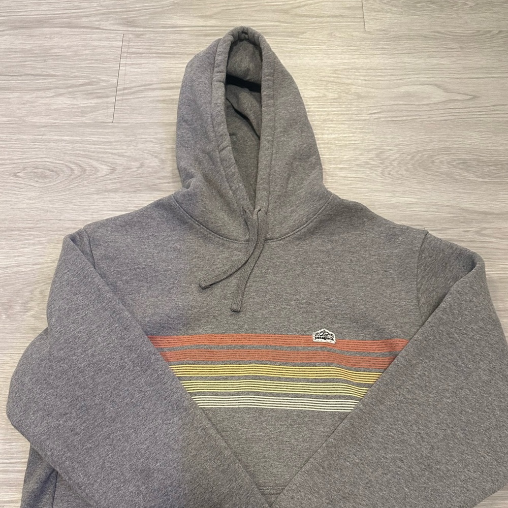 Gray Patagonia Hoodie Large